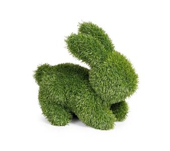 250938 Kunstgras Kaninchen.jpg